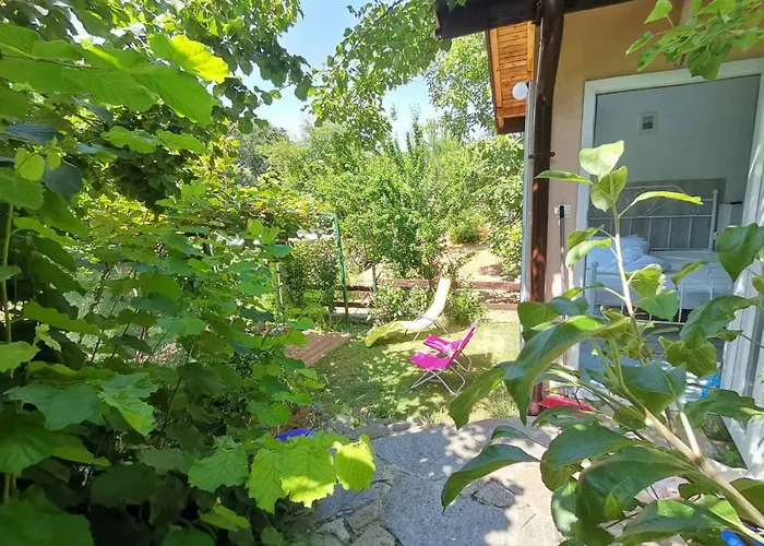 Summer Fani * Sinemoretz