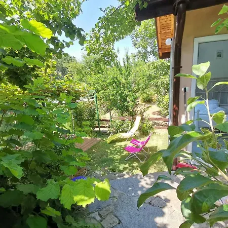 Summer Fani * Sinemorec