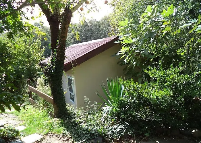 Summer Fani * Sinemoretz